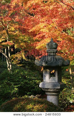 Arboreto, jardim do japonês de Seattle #12