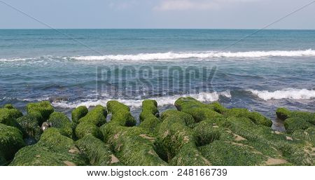 Beautiful Green Reef in New Taipei City of Taiwan