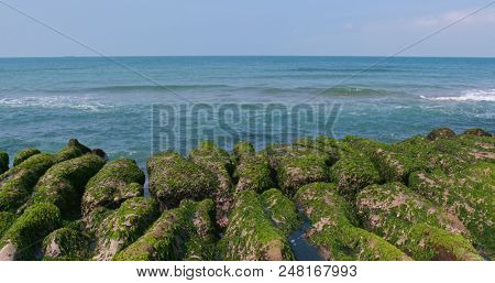 Laomei Green Reef