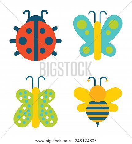 Insects Collection Of Creatures, Ladybug And Butterfly With Colorful Wings, Bee With Antenna, Set Ve