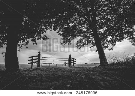 Old Wooden Fence For The Entrance Of A Flat And Green Grassland. A Look At The Polder Of The Kamper 