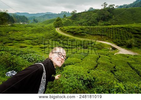 Cameron Highlands Boh Tea Plantation