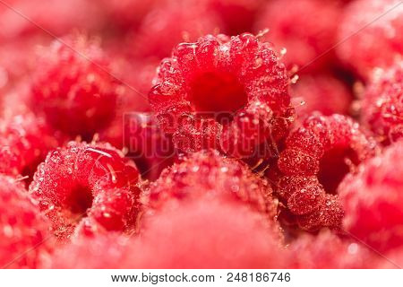 Background Texture Of Dripping Raspberry. Close-up Photo.