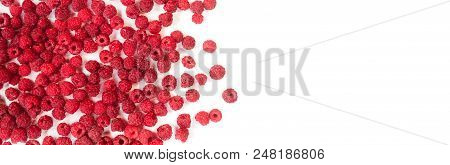 Dripping Raspberry On White Background. Close-up Photo.
