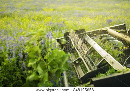 The Harvesting Machine Mechanism Cuts Alfalfa - Close-up, Blurry In Motion, Focus On Separate Fragme