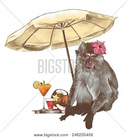 Monkey Sitting On The Beach Under A Beach Umbrella With A Tropical Flower On His Head