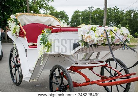 Wedding Car With Horses Decorated With Flowers And Ribbons
