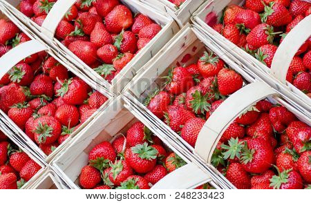 Red Strawberries In Baskets, Background Of Strawberries