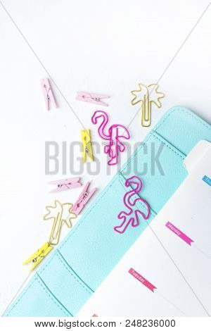 Feminine Stationery: Colorful Paper Binder Clips Palm And Flamingo Shape On White Table Background W