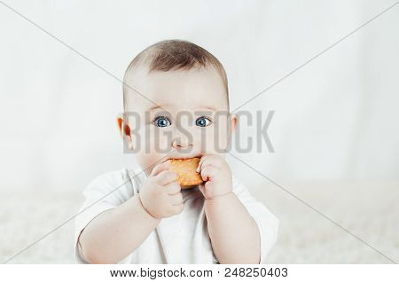 Adorable Baby Eating A Cookie