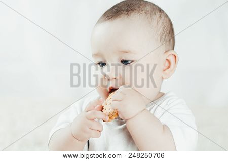 Adorable Baby Eating A Cookie