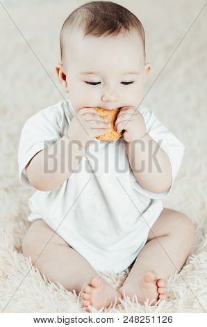 Adorable Baby Eating A Cookie