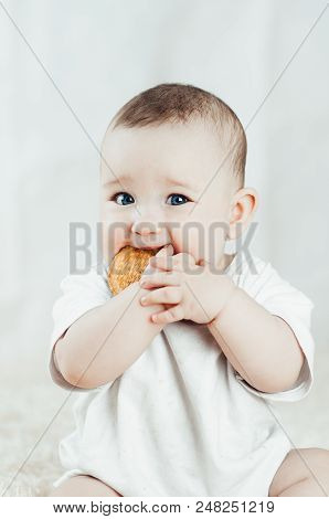 Adorable Baby Eating A Cookie
