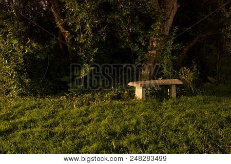 Mysterious Lonely Stone Park Bench Sitting In A Grassy Clearing In The Forest