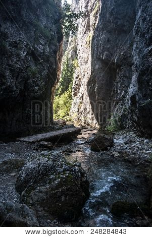 Vrata - Narrow Entrance To Prosiecka Dolina Valley In Chocske Vrchy Mountains In Slovakia With Creek