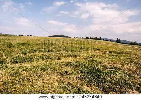 Mountain Meadow With Trees And Hills On The Background And Blue Sky With Clouds - Svorad Above Prosi