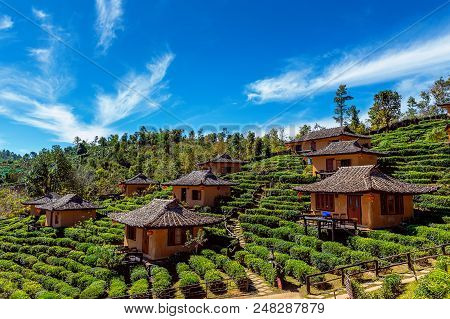 Ban Rak Thai In Mae Hong Son,thailand.