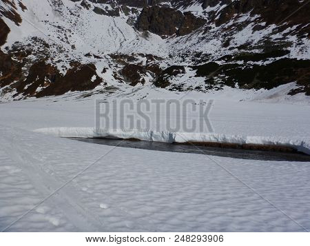 Mountain Stream In The Early Spring