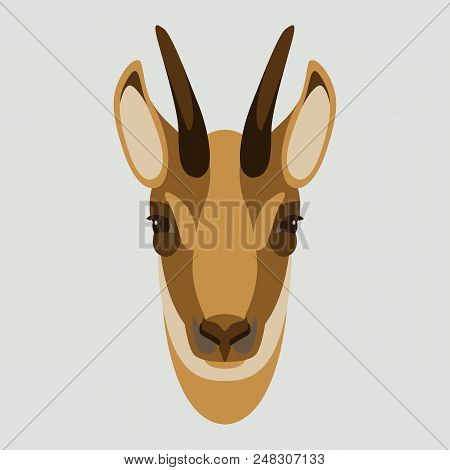 Goat Chamois Face Head Vector Illustration Flat Style Front Side