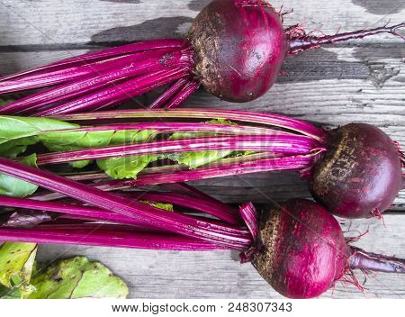 Beet  From Organic Grower Farm On A Wooden Background.top View. Place For Text.dark Vintage Backgrou
