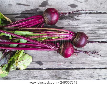 Beet  From Organic Grower Farm On A Wooden Background.top View. Place For Text.dark Vintage Backgrou