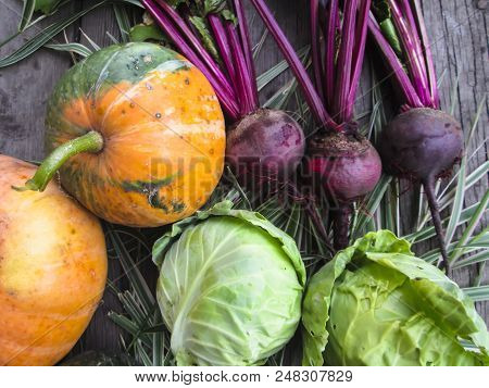 Vegetables  From Organic Grower Farm On A Wooden Background.cabbage, Pumpkin  And Beet. Top View. Pl