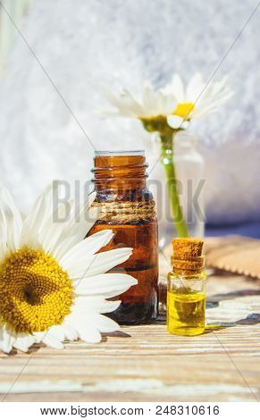 Chamomile Essential Oil. Selective Focus. Butle Little.