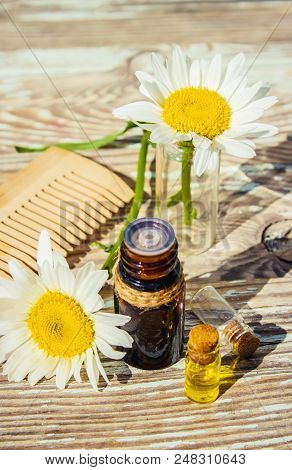 Chamomile Essential Oil. Selective Focus. Butle Little.