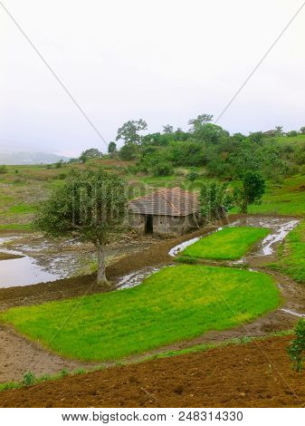 Small Hut And Agricultural Land At Rural Area Near Nilkantheshwar, Donje, Pune, Maharashtra, India