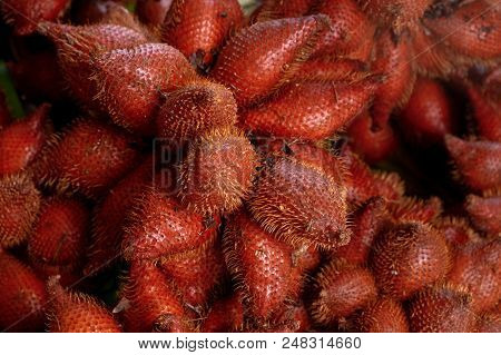 Ripe And Fresh Snakefruit In The Morning Market.