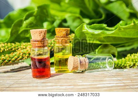 Essential Oil Of Plantain In A Small Bottle. Selective Focus.
