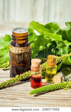 Essential Oil Of Plantain In A Small Bottle. Selective Focus.