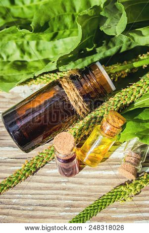 Essential Oil Of Plantain In A Small Bottle. Selective Focus.