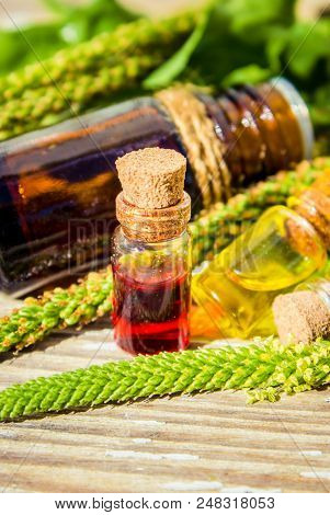 Essential Oil Of Plantain In A Small Bottle. Selective Focus.