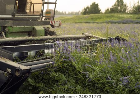 The Harvester Cuts Lucerne - Closeup Of Knives Of The Harvesting Mechanism