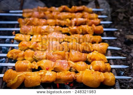 Grilled Kebab Cooking On Metal Skewer Closeup. Roasted Meat Cooked At Barbecue. Bbq Fresh Beef Meat 
