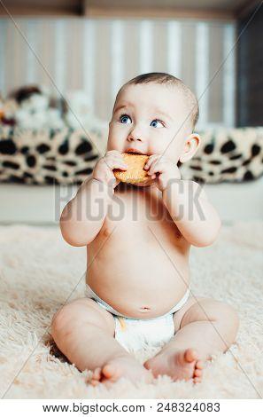 Adorable Baby Eating A Cookie