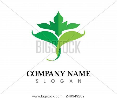 Beauty Vector Flowers Design Logo Template Icon