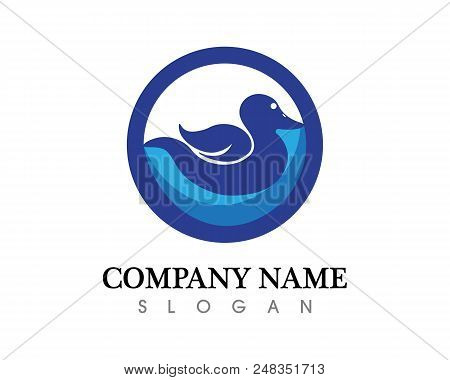 Vector - Vector Sign Abstract Bird In Flight
