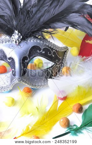 Beautiful Carnival Mask Among Colorful Feathers On White