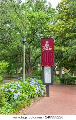 Campus Walkway And Gardens At University Of South Carolina