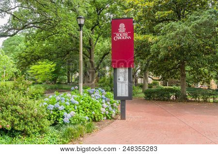 Campus Walkway And Gardens At University Of South Carolina