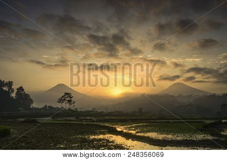Two Mountain Sindoro And Sumbing, Into Rice Fields In Wonosobo, Java, Indonesia