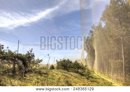 Curonian Spit, Russia - May 02.2018: The Curonian Spit National Park. Ornithological Station Of Frin