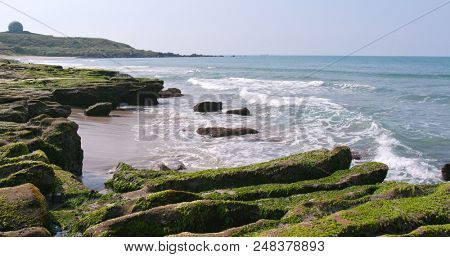 Green Reef in Laomei