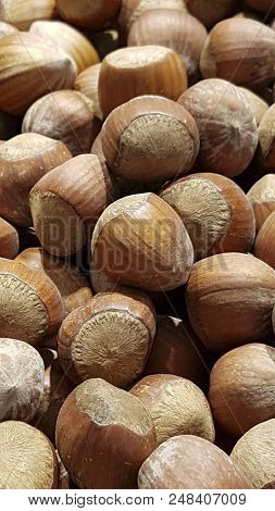 Huzelnut Background.
Hazelnuts In Shell Stacked In A Heap Shot From Above Closeup