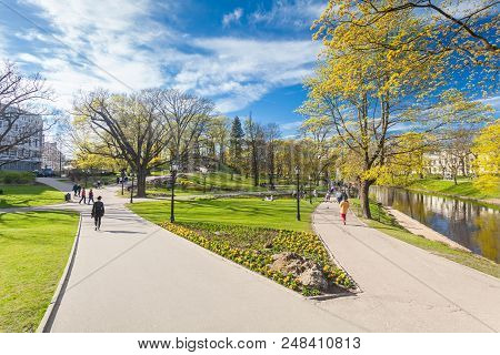 Riga, Latvia - May 06, 2017: View On  Pathways With Blossom Trees, Bushes And Walking  People In The