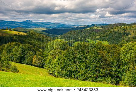 Forested Hills Of Carpathian Mountains. Wonderful Landscape In Early Autumn On A Cloudy Day. Pikui M