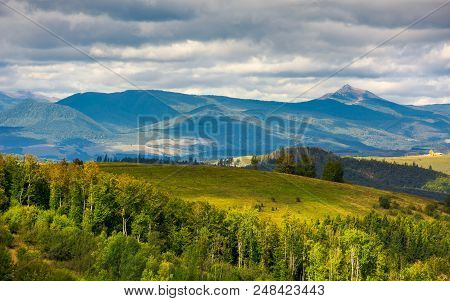 Forested Hills Of Carpathian Mountains. Wonderful Landscape In Early Autumn On A Cloudy Day. Pikui A