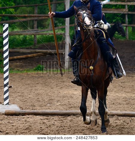 Cavalryman Ride On Beautiful Brown Horse At A Race Track For Horses, Forest View